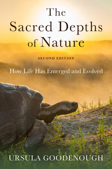 The Sacred Depths of Nature - 2da. ed.